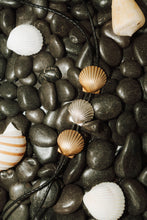 Load image into Gallery viewer, Bermuda
