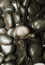 Load image into Gallery viewer, Aruba
