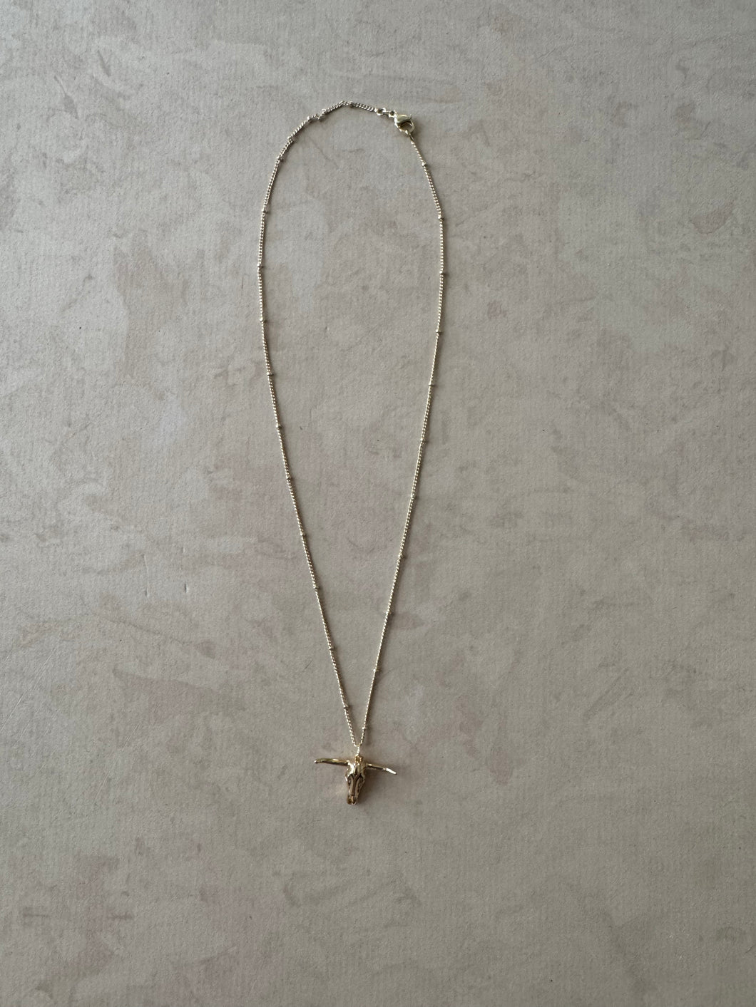 longhorn necklace