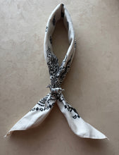 Load image into Gallery viewer, wild horse bandana set

